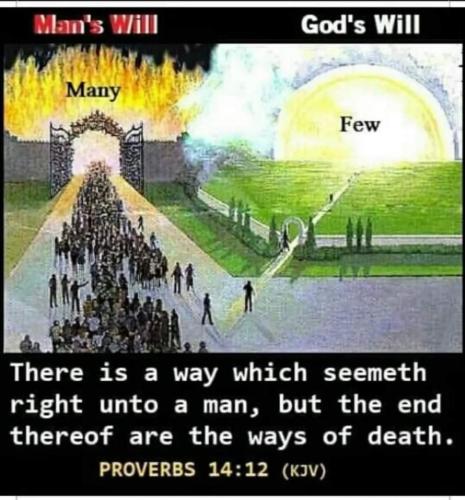 871b0e4c-1d9c-4fa9-a0e8-c5d2927abac2