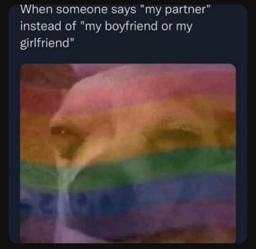 Screenshot_20230705_184023_YouTube