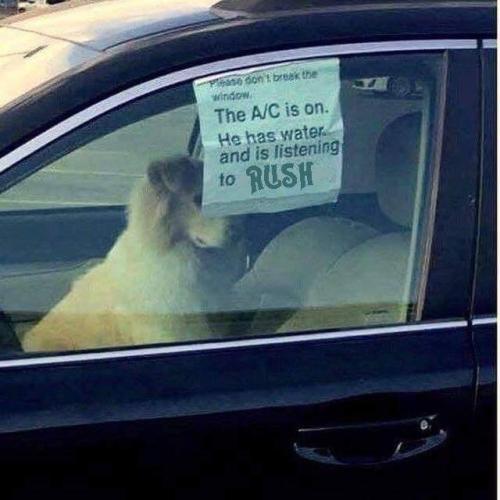 FB_IMG_1688397456192