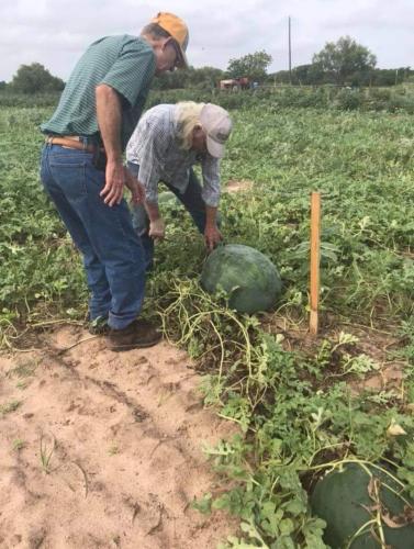 Screenshot_20230721_195144_Facebook