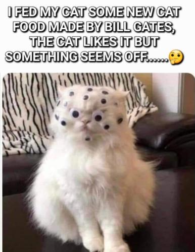 Screenshot_20230716_170102_Wimkin Free Speech Social Media