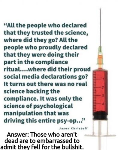 Where have all the snowflakes gone.960px