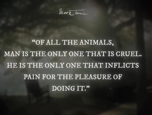 Screenshot_20230709_014417_YouTube