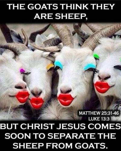 cc1481cd-7528-4ff2-820b-3c2b79a4bc51