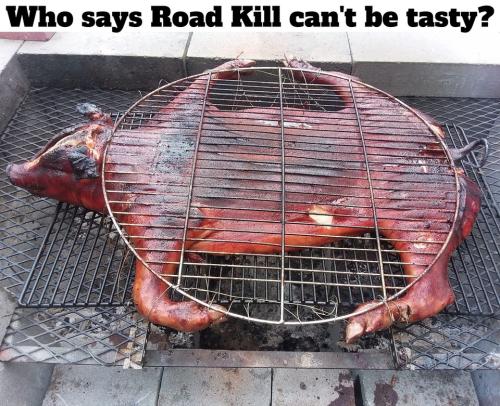 Who says road kill can't be tasty.960px