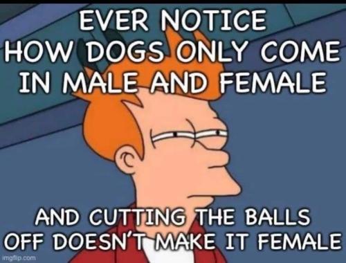 FB_IMG_1690677940388