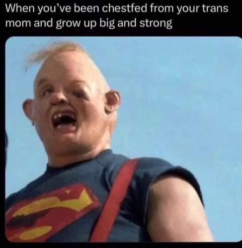 935d2025-8044-498d-88d4-3ffdfa428853