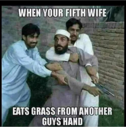 FB_IMG_1689696468026