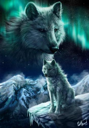 2 wolves on mountain top