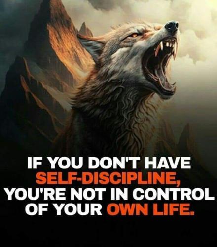 FB_IMG_1689003352839