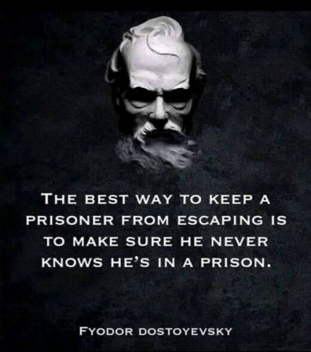 1688153186464