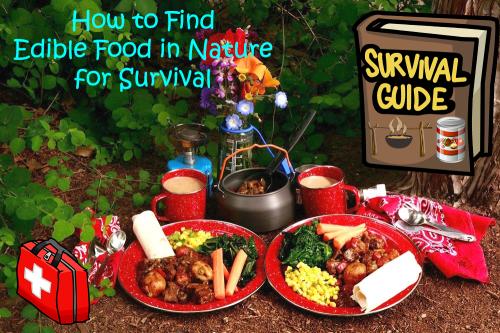 !    wilderness survival food preparation guide