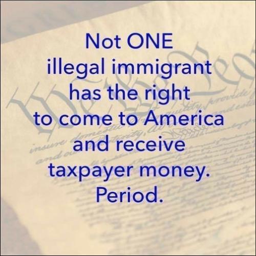 illegal immigration292