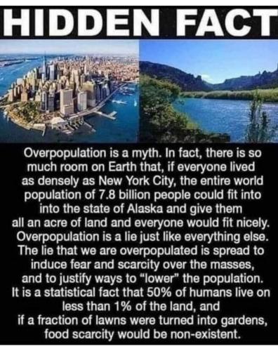 FB_IMG_1689735036012