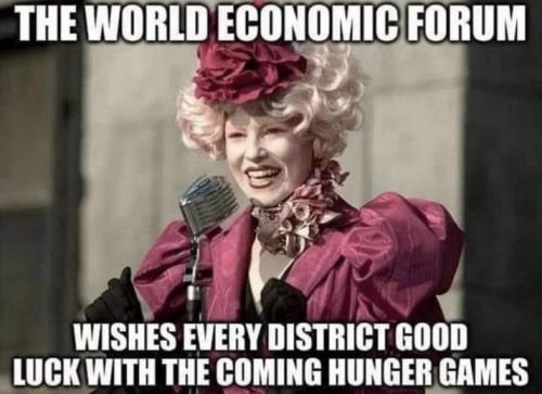 world economic forum52