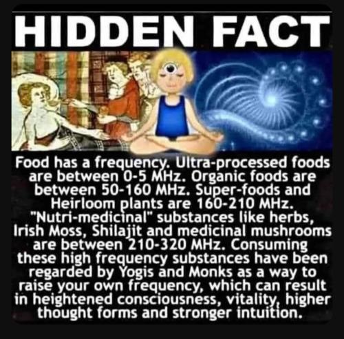 Screenshot_20230716_191932_YouTube