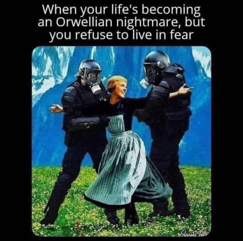 photo_2023-07-15_12-13-34