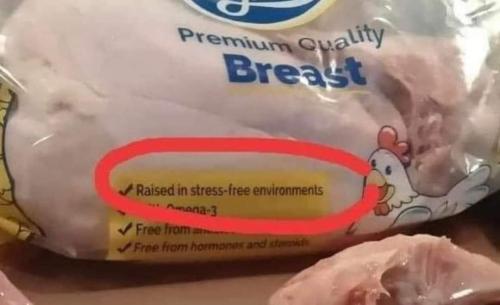 FB_IMG_1688466616897