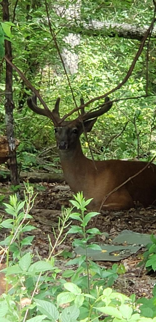 13:05:04 GMT-0400 (EDT)