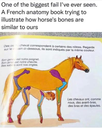 FB_IMG_1689015811551