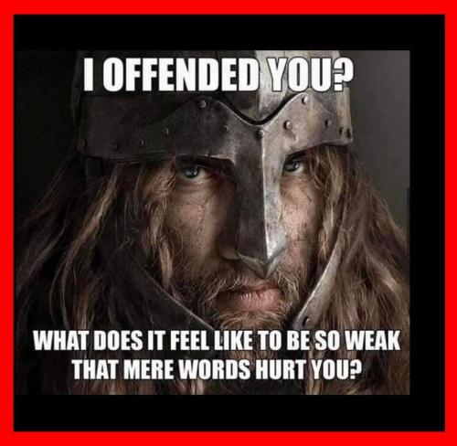 358544307_6614931341860198_5984304321262985091_n