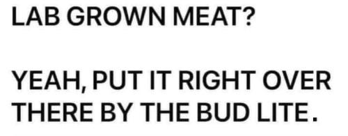 FB_IMG_1688835113468