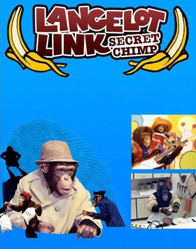 359842665_3437388129845051_6854875538970661038_n