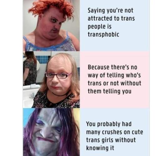 FB_IMG_1688859048097