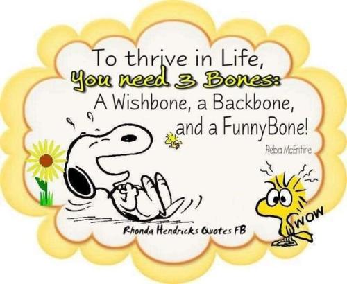 358489749_10159053987915614_7333365580860672760_n