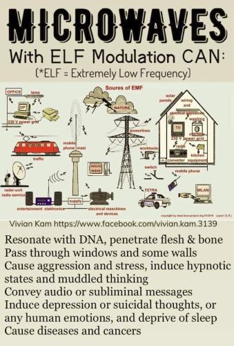 FB_IMG_1688479947779