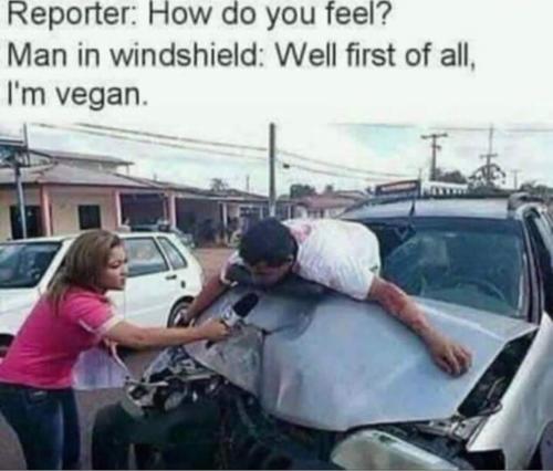 FB_IMG_1688569796380