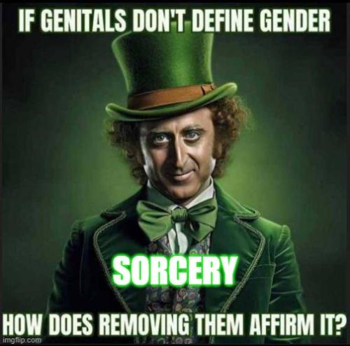 Gender Sorcery 2