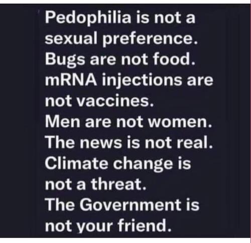 FB_IMG_1690310163899