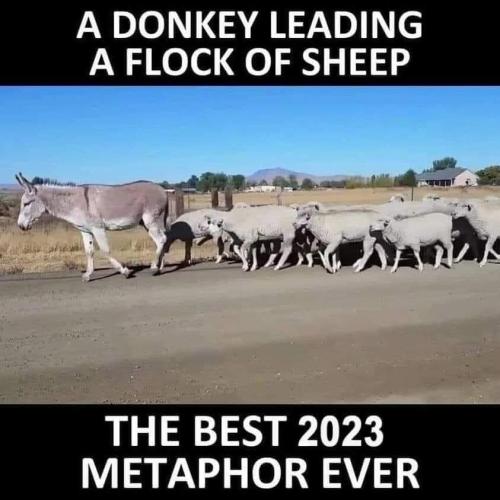 FB_IMG_1690399181664