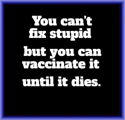 You can't fix stupid
