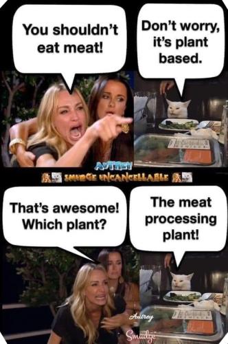 356645881_5851870478250983_2399896825463796717_n