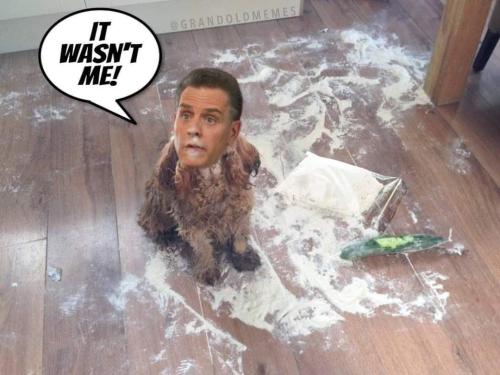 it wasnt me