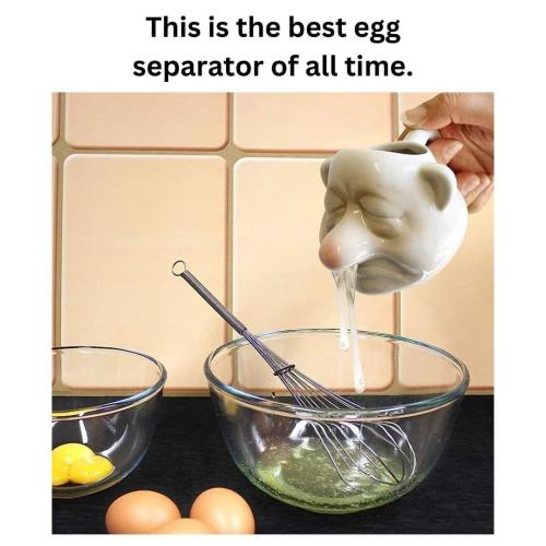 FB_IMG_1688465441355