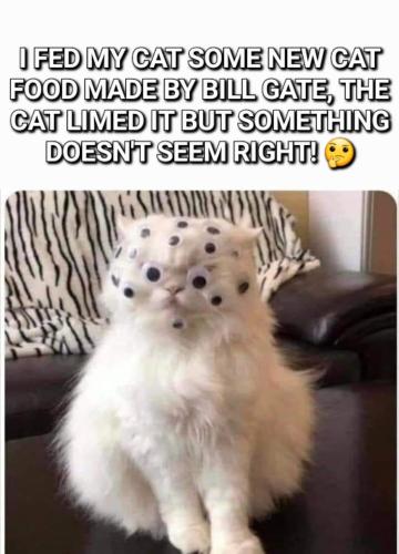 Screenshot_20230716_170102_Wimkin Free Speech Social Media