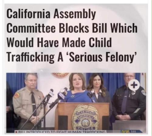 FB_IMG_1690636102828