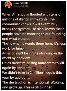 illegal immigration337