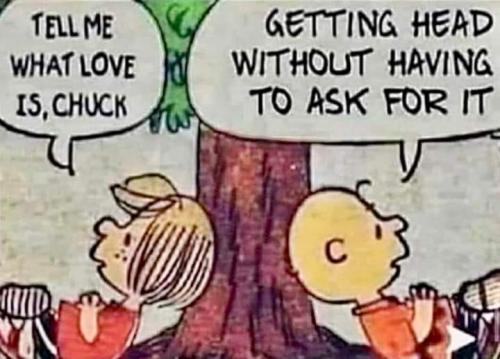 357368903_203853845959572_2046387764903085212_n