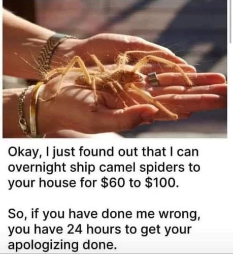 FB_IMG_1690408145511