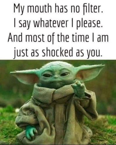 358087488_6293768867385600_3876281017660785718_n (1)