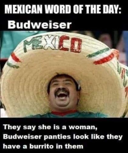 356633124_6672933112725400_7113842004730917262_n