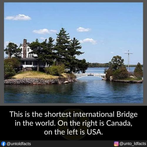 shortest internation birdge