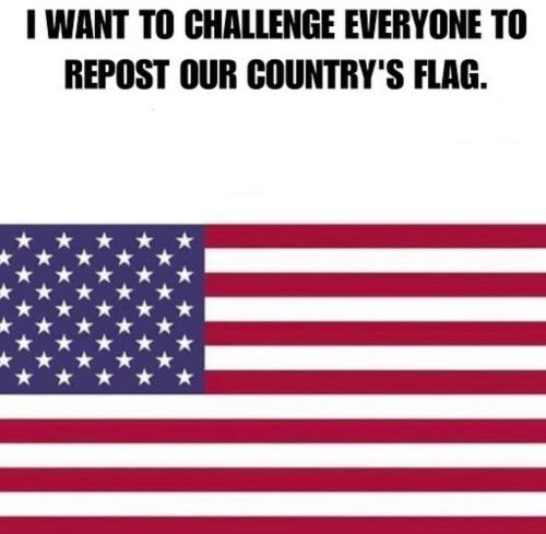 Polish_20230703_025019259