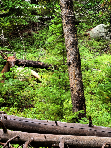 23_20230629_195927_0022