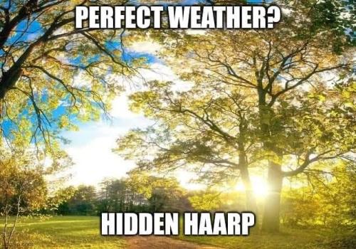 52649132-5920-4747-b88a-df82b0ee6c6f