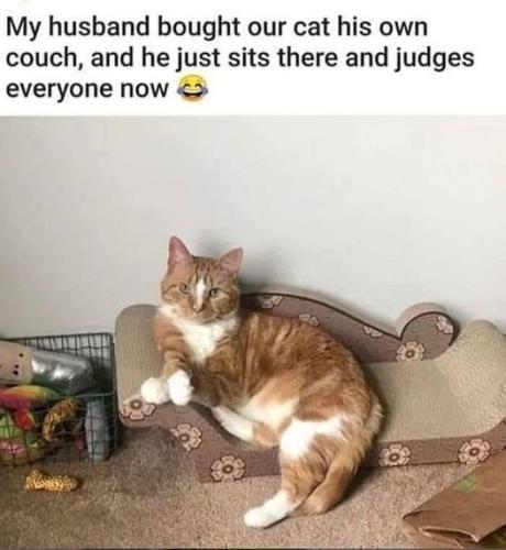 358022086_660058162815306_5927190481517957547_n